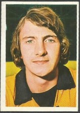 FKS 1975/76 SOCCER STARS '75'76-#307-WOLVERHAMPTON WANDERERS-BARRY POWELL