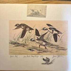 1979, Iowa Duck Stamp, Artist Proof, Pencil Remark, signed Stamp, Andrew D Peters, - Bild 1 von 12