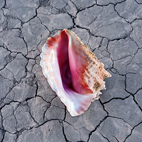 THE KILLERS - Wonderful Wonderful [Deluxe Ed.] (45 RPM DOUBLE VINYL EP, 2017) - Image 1 of 1