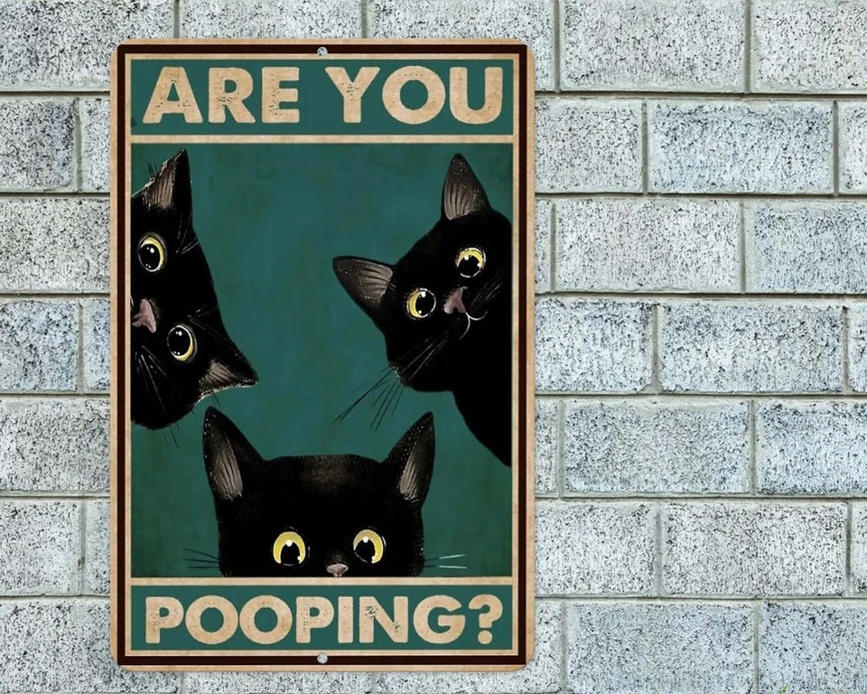 Are You Pooping Black Cats Sign Aluminum Metal 8"x12" Funny Rustic Bathroom - Image 1 of 1