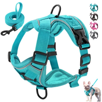 Pet Dog Cat Harness and Leash Reflective Breathable Adjustable Mesh Walking Vest - Image 1 of 4