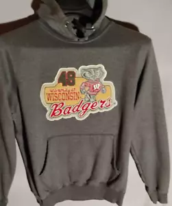 Wisconsin Badgers Retro Mens Medium Hoodie Embroidered patch Gray Pocket NCAA - Picture 1 of 7