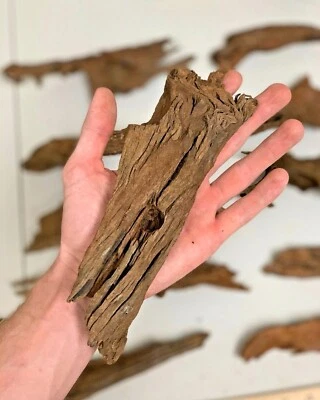 *BUY 2 GET 1 FREE* Malaysian Driftwood Wood Aquascape Driftwood Aquarium  ✅ - Image 1 of 4