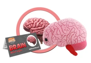 Cerebro humano microbios gigantes - Imagen 1 de 5