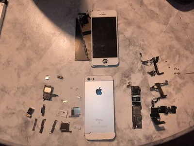 Apple iPhone 5s y SE 2016 varios Piezas AUX Cinta Estuche Lcd Tornillos Retroiluminación Foto 1 de 3