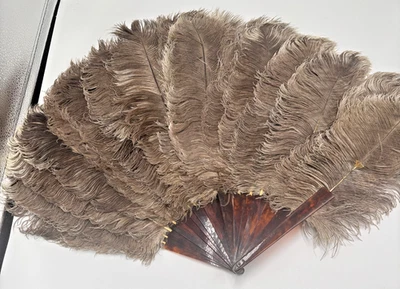 Antiguo abanico de mano de plumas de avestruz natural de principios de 1900 - época victoriana 17"x28" Foto 1 de 4