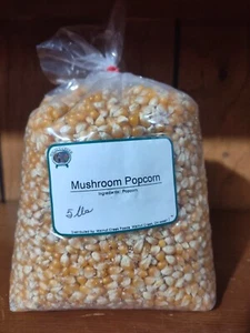 Amish Popcorn Pilz 5lb - Bild 1 von 1