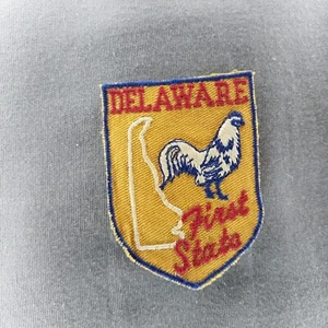 Delaware First State DE Souvenir Tourist 2 3/4" Aufnäher - Bild 1 von 2
