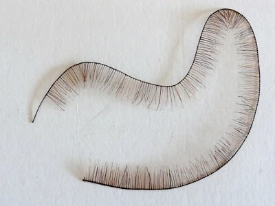 Cils en cheveux naturels pour poupées ou bébé reborn - eyeslashes for dolls