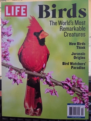 Life Magazine-Birds-The World's Most Remarkable Creatures-2025-Brand New! Foto 1 de 4