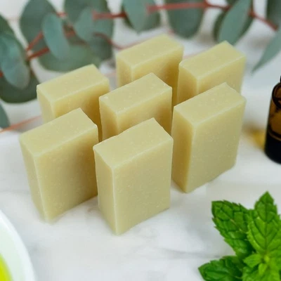 7 x FRIENDLY SOAP-NATURAL UNPACKAGE SHAMPOO | PEPPERMINT & EUCALYP | 20% OFF RRP