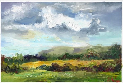 pintura original 20 x 30 cm 65BM obras de arte pinturas al óleo pintura impasto paisaje Foto 1 de 3