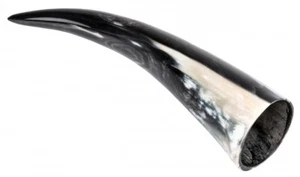 NaDeco® Trinkhorn 0,1 Liter | Methorn | Wikinger Horn | Kuhhorn | Rinderhorn - Bild 1 von 1