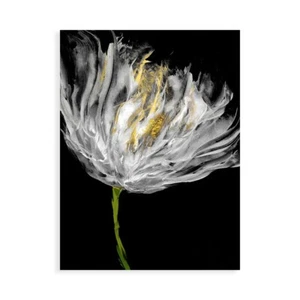 Impression sur Toile Papier Affiche Ou Peinture Austin Vanessa Tulips On Noir I - Imagen 1 de 2