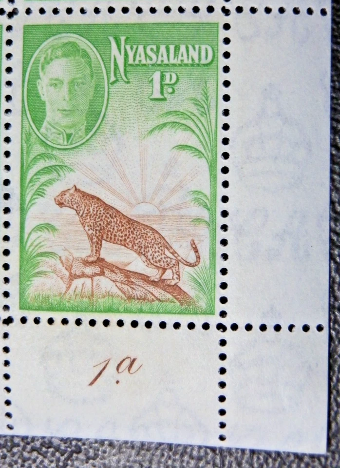 NYASALAND 1947 SG160 KGVI  1d. SYMBOL OF THE PROTECTORATE  -  MNH - Image 1 of 1