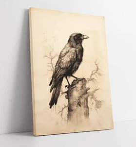 VINTAGE CHARCOAL SKETCH OF RAVEN, CROW CORVID -DEEP FRAMED CANVAS WALL ART PRINT - Picture 1 of 2