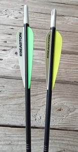 Easton STLK BLK 2216 4DV HG arrows - Picture 1 of 2
