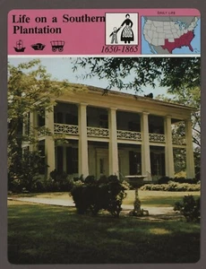 Life on a Southern Plantation Story of America Scheda Storia Vita Quotidiana - Foto 1 di 1