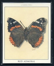 BUTTERFLIES  Collectors Cards - Red Admiral Swallowtail Peacock & Monarch images