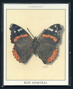 BUTTERFLIES  Collectors Cards - Red Admiral Swallowtail Peacock & Monarch images