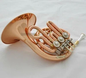 Prof. Rose Brass Piccolo MiNi French Horn Bb Keys Engraving Bell With Case Mouth - Picture 1 of 6