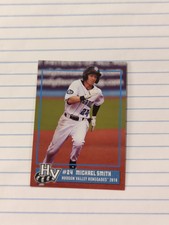 Michael Smith 2018 Hudson Valley Renegades Team Set Card