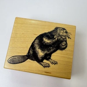 Beaver~Wildlife~Animal~Castor canadensis~HTF~Rubber Stamp~2.75"X2.25"~PSX F-1554 - Picture 1 of 7