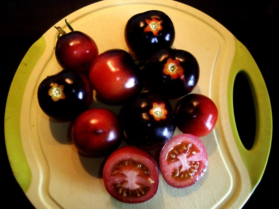  Semillas de tomate Osu Blue P 20 semillas azul-rojo semillas semillas tomates - Imagen 1 de 1