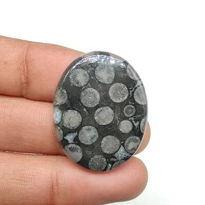 Natural black fossil coral cabochon designer fossilized coral loose stone M6562 - Picture 1 of 5