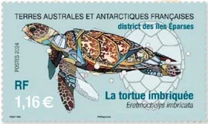 fsat 2024 taaf antarctic Scattered Wildlife Hawksbill turtle eparses island 1v - Picture 1 of 1