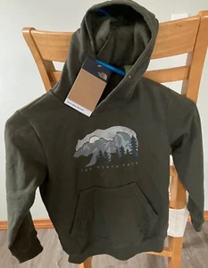 The North Face Bear Youth Logowear Pull Over Hoodie XS 6 New Taupe Green NWT - Picture 1 of 5