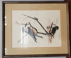 Gene Gray Signed Limited/Numbered Eastern Belted Kingfisher Bird ~ Framed Print - Picture 1 of 9