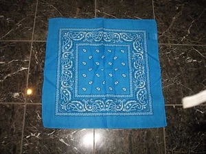 22"x22" Paisley Aqua Light Blue Bandana - Picture 1 of 4