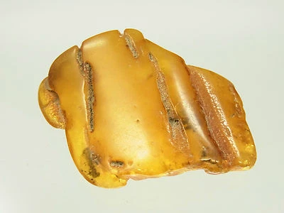 Schöner Butterscotch Egg Yolk Amber Bernstein aus Bernsteinsammlung 19,0  Gramm - Bild 1 von 4