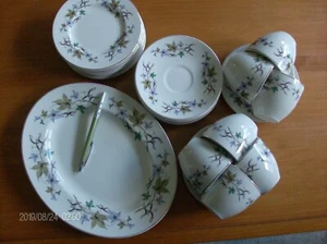 Wedgwood seven cups and 8 saucers .8/bread plates and platter 11x9 inch 24pcs - Picture 1 of 8