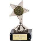 Spersonalizowane grawerowane srebrne trofeum gwiazdy nagroda drużynowa dla wielkiego gracza