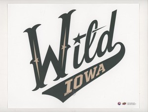 2017-18 Upper Deck AHL Team Logo Mini Posters Iowa Wild