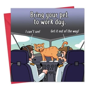 Funny Card with Cat Pilot - Blank Card - Funny Cat Birthday Card - Cat Card - Picture 1 of 6