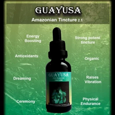 AHO GREAT SPIRIT GUAYUSA TINCTURE 2.1 (Ilex GuayusaAmazonian)