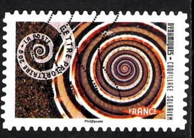 2014. Coquillage solarium. N°927. - Photo 1/2