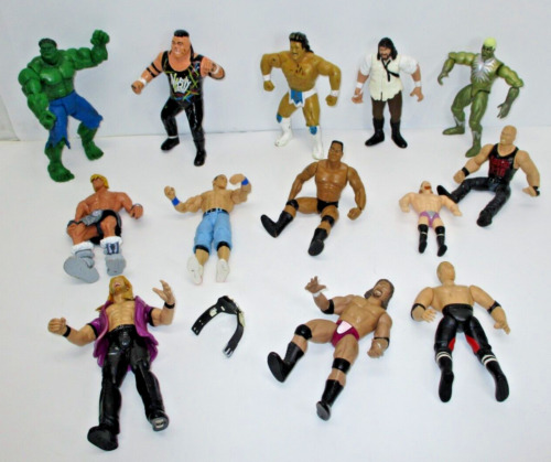 Pro Wrestling and more Collectible Action figures - group of 13!