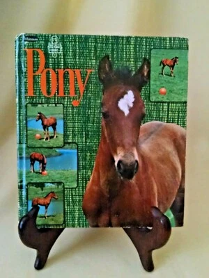 PONY ERVA LOOMIS MEROW WHITMAN TELL A TALE 2505 ARTHUR HAAS MEL CRAWFORD 1965. Foto 1 de 4