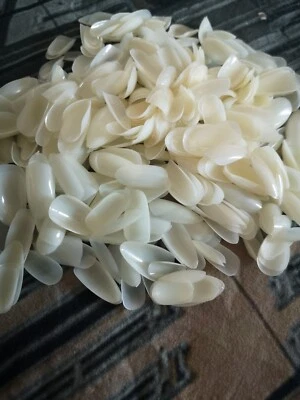 Unghie Finte Ovale, Mandorla, A Punta Varie Misure 600 Pezzi, unghie resistenti  - Immagine 1 di 3