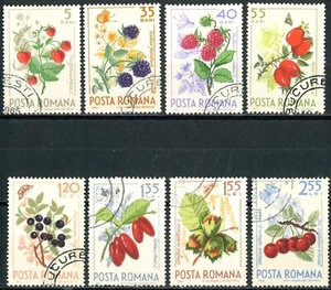 ROMANIA OLD STAMPS 1964 Forest Fruits - USED/CTO - Picture 1 of 2