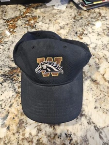 Vintage Under Armour Western Michigan University Broncos Fitted Hat Size Medium - Picture 1 of 3