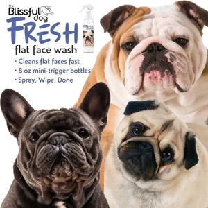 Fresh Flat Face Wash reinigt Ihre Bulldogge, Französische Bulldogge, Mops, Boxer + Gesichter 8 Oz. - Bild 1 von 47