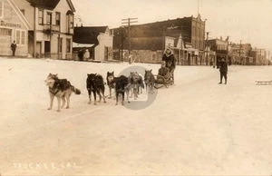 Truckee CA California Dog Sled Team 1910 RPPC Photo Postcard COPY - Picture 1 of 2