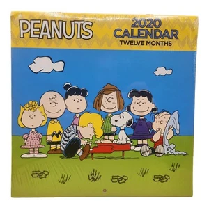 Calendario de pared Peanuts 2020 12 meses sellado Snoopy & The Gang, totalmente nuevo - Imagen 1 de 6