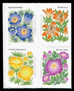 MOUNTAIN FLORA ALPINE BUTTERCUP WOOD ROSE LILY 5676-5679 FOREVER STAMP BLOCK SET - Picture 1 of 1