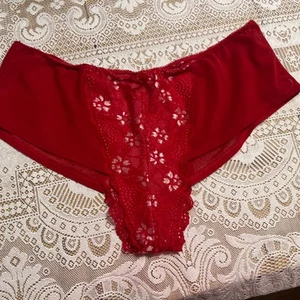 Vintage Cacique Red Nylon Mesh Lace Front Hipster Panties 18/20 - Picture 1 of 9